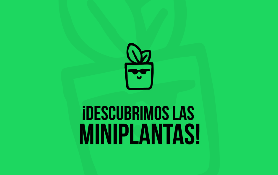 ¡Descubrimos las Miniplantas!